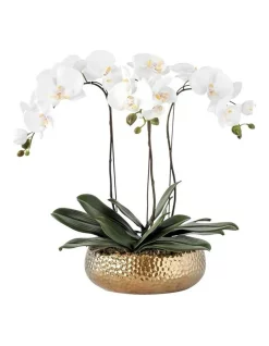 Hot Sale 🔥 Vicky Yao Real Touch PEVA 3 Stems White Phalaenopsis Arrangement Golden Pot 🌟