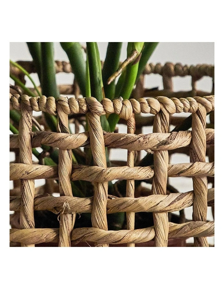 Deals β€οΈ Cooper & Co Open Weave Water Hyacinth Baskets Set Of 3 In Brown π - Image 7