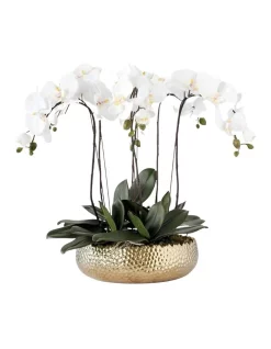 Wholesale 🔥 Vicky Yao Real Touch PEVA 6 Stems White Phalaenopsis Arrangement In Golden Pot 🧨