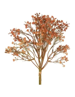 Best reviews of 🥰 Florabelle Gypsophila Bundle In Apricot 😀