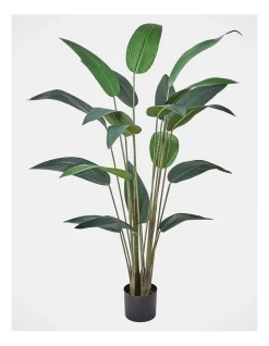 Coupon ⭐ Vue Giant Birds Of Paradise Artificial Plant 160cm In Green 🎁