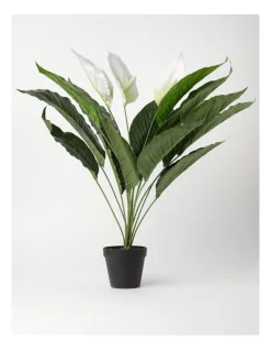 Deals 😍 Vue Peace Lily Artificial Plant 70cm ✨