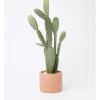 Buy ⌛ Vue Artificial Cactus In Cement Pot 36x28x23cm In Green/Terracotta ????