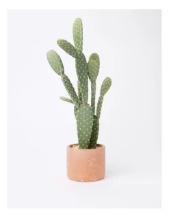Buy ⌛ Vue Artificial Cactus In Cement Pot 36x28x23cm In Green/Terracotta 💯