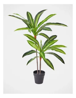 Deals ❤️ Vue Dracaena Artificial Plant In Black Pot 60cm In Green ✨